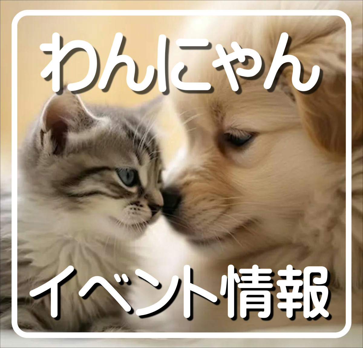わんにゃんイベント情報